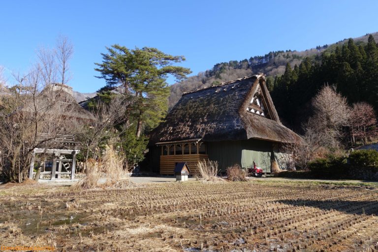 Myozenji Temple in Shirakawago
